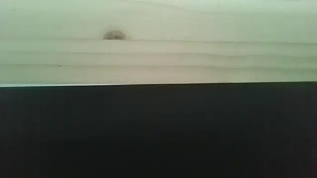 Snapshot of Hendrikje chatting on 06-02-26, 04:40 Hendrikje online show from 06-02-26, 04:40