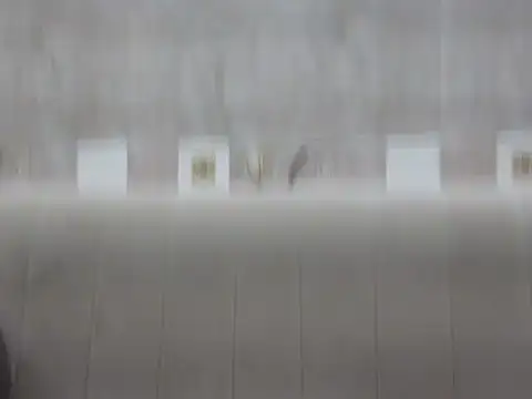 hey darling  online show from 06-12-26, 01:09