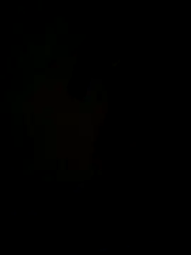 Snapshot of hook9sex chatting on 06-11-26, 04:53 hook9sex online show from 06-11-26, 04:53