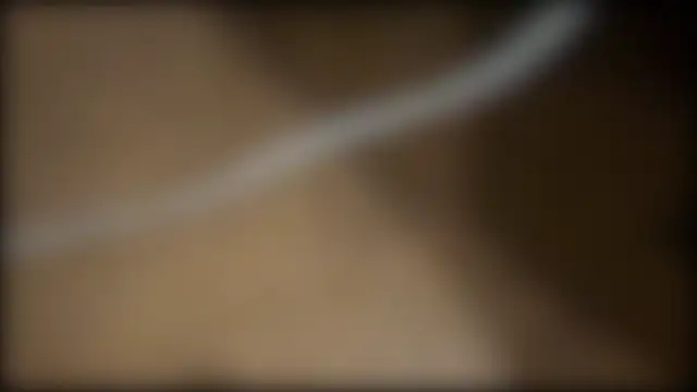 fuckr66669 online show from 07-19-26, 10:34