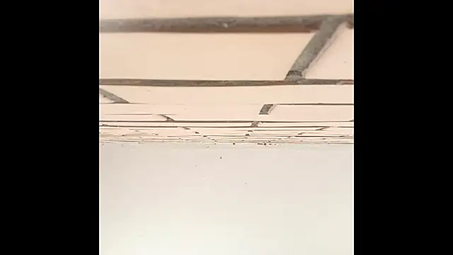 IronicBuckle online show from 07-02-26, 03:23