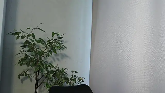 MariaTravel online show from 07-24-26, 02:35