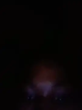 SalutedNonsense online show from 06-18-26, 11:37