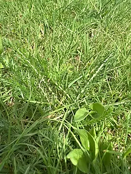 Leoviber online show from 06-21-26, 12:22