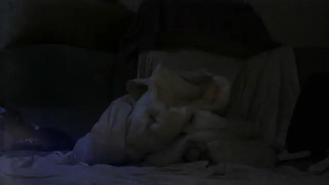 GariQNight online show from 03-24-26, 05:57