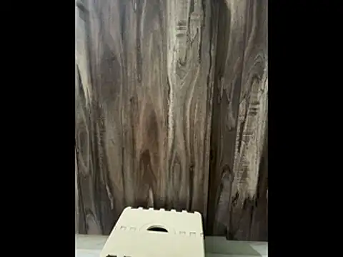 SatBull007 online show from 11-23-25, 07:51