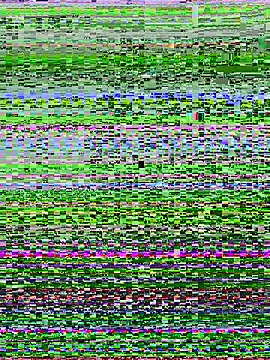 Snapshot of _Rossy2000_ chatting on 07-09-26, 12:44 Rossy2000 online show from 07-09-26, 12:44