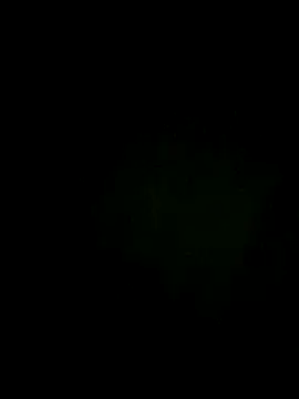Snapshot of Melhordosite chatting on 07-15-26, 05:53 Melhordosite online show from 07-15-26, 05:53