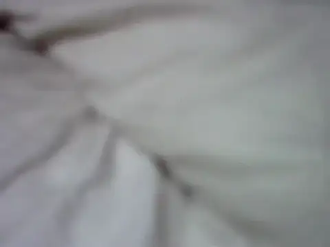 Titty quween online show from 07-21-26, 09:10