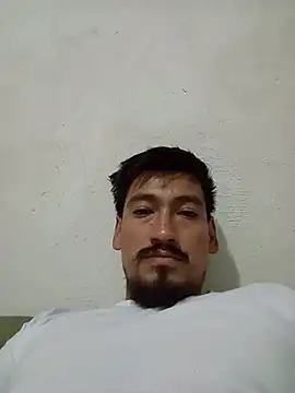 Snapshot of stefamholmes chatting on 07-17-26, 03:53 stefamholmes online show from 07-17-26, 03:53