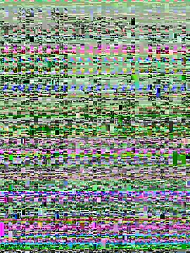 17cm-duchu online show from 07-20-26, 02:30