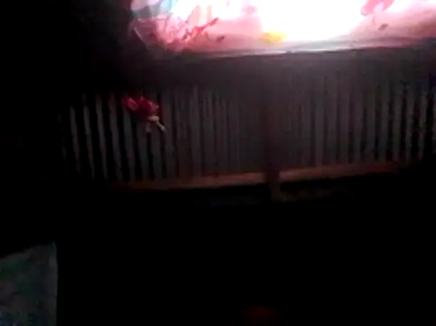 princess-van online show from 07-29-26, 03:00