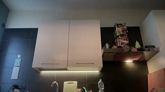 theitalianbear online show from 02-06-26, 06:42