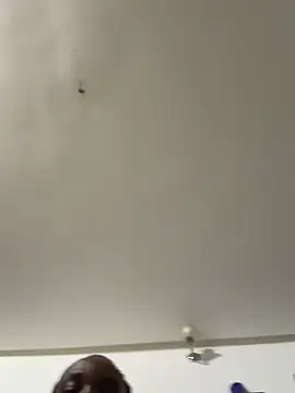 myhoneymolly online show from 07-29-26, 02:44