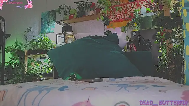 Dead Butterfly online show from 03-14-25, 04:32