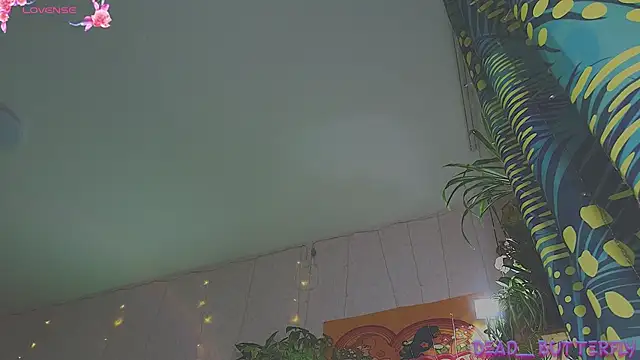 Dead Butterfly online show from 01-31-25, 12:40