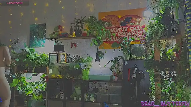 Dead Butterfly online show from 01-12-25, 03:28