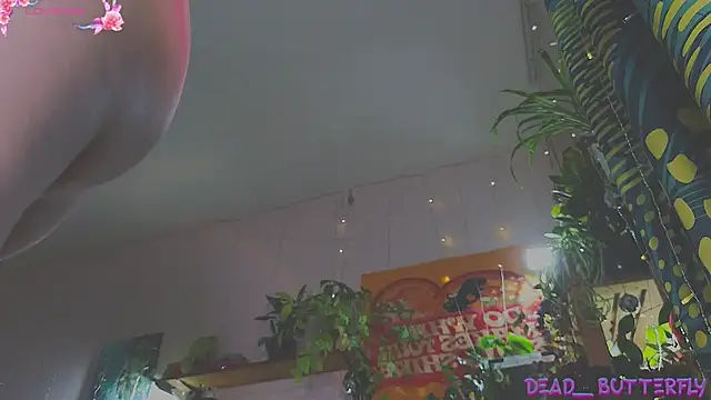 Dead Butterfly online show from 02-08-25, 03:41