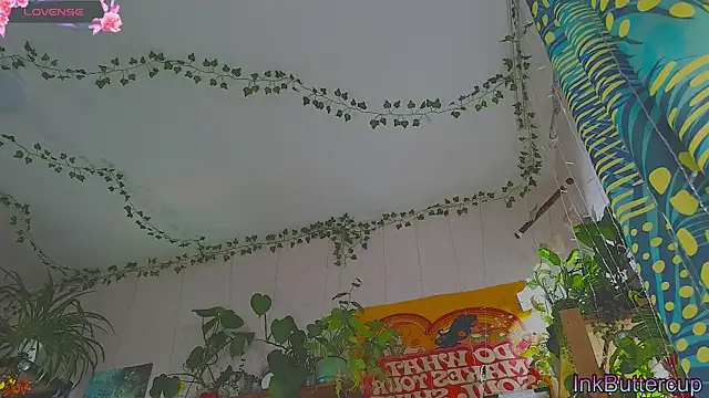 Dead Butterfly online show from 09-18-25, 03:09