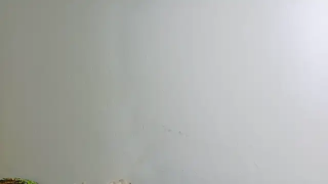 irisconde online show from 12-16-25, 08:24