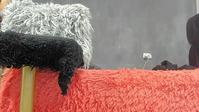 SandraGoldstein online show from 03-13-26, 01:21