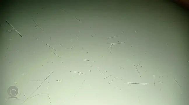 Snapshot of Just_for_trans chatting on 02-21-25, 03:10 Just for trans online show from 02-21-25, 03:10