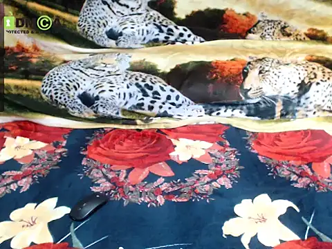 Queen Sarah online show from 12-13-25, 08:04