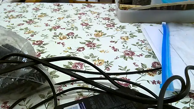 Bigjacky online show from 09-09-25, 04:38