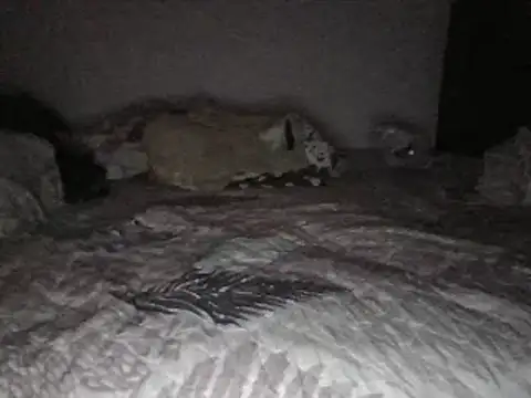 Snapshot of bscc chatting on 01-31-25, 12:07 bscc online show from 01-31-25, 12:07