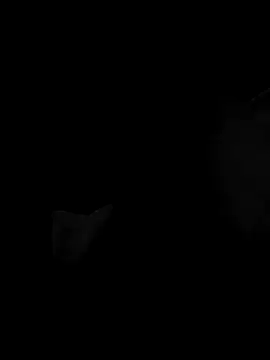 realeasy1 online show from 07-11-26, 08:53