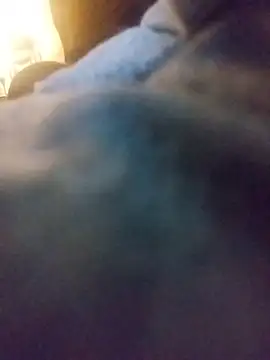 Snapshot of Biknight chatting on 01-07-26, 06:29 Biknight online show from 01-07-26, 06:29