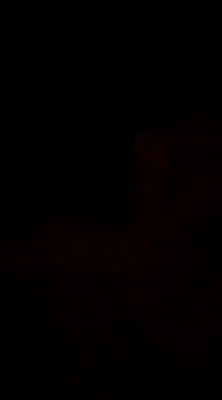 6crimson6 online show from 12-30-24, 04:20