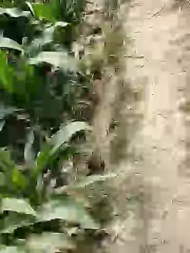 ThethunderPo online show from 02-25-26, 07:41