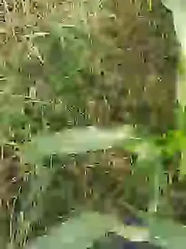 ThethunderPo online show from 03-29-26, 02:57