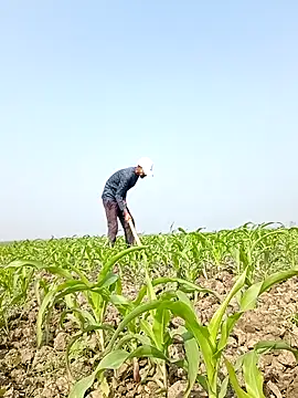 ThethunderPo online show from 02-06-26, 04:41