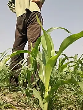 ThethunderPo online show from 03-02-26, 07:37