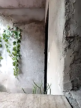 Camilatinass  online show from 04-25-26, 12:41