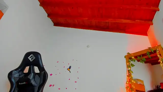 Susan Foxx online show from 09-20-25, 05:07