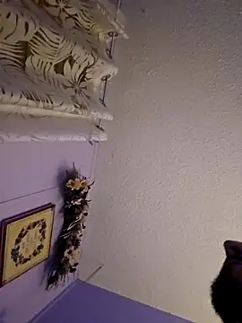 Snapshot of UncutHammer69 chatting on 12-20-25, 07:44 UncutHammer69 online show from 12-20-25, 07:44