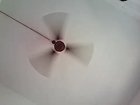 Snapshot of BlackBoy_Kolkata chatting on 06-08-26, 08:59 BlackBoy Kolkata online show from 06-08-26, 08:59