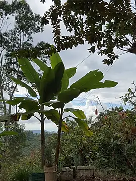 LINDA PATTY94 online show from 03-11-26, 08:36