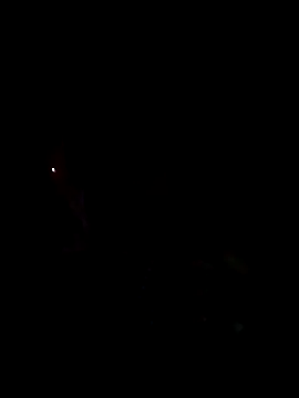 Snapshot of gusaven chatting on 03-16-25, 04:23 gusaven online show from 03-16-25, 04:23