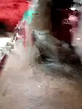 Bengali BULL1 online show from 03-01-26, 05:35