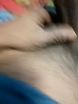 Bengali BULL1 online show from 12-14-25, 03:06