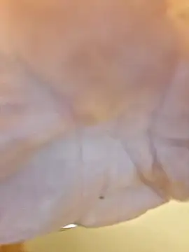 Snapshot of ThickDMatty@xh chatting on 11-01-25, 04:41 ThickDMattyxh online show from 11-01-25, 04:41