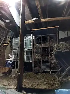 sarpe4 online show from 03-02-26, 04:58