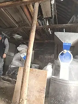 sarpe4 online show from 01-08-26, 07:58