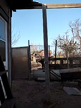 sarpe4 online show from 04-15-26, 03:38