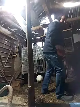 sarpe4 online show from 02-21-26, 05:20