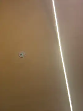 Gatitacarlita online show from 11-26-25, 10:26